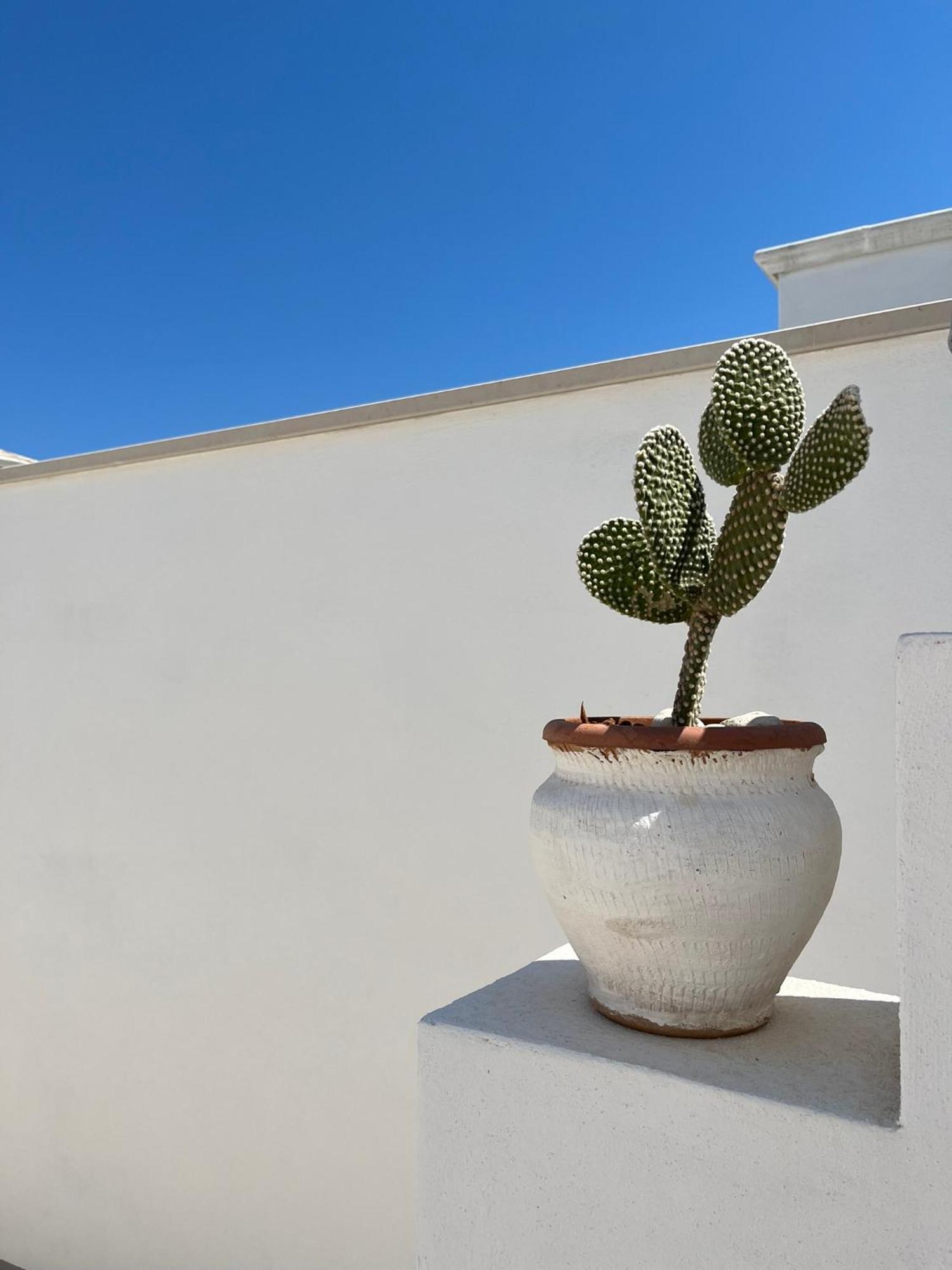 El-Mar Locazione Turistica House With Exclusive Terrace Leilighet Polignano a Mare Eksteriør bilde